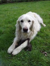 Berk 2015 - 2 Floyd.jpg