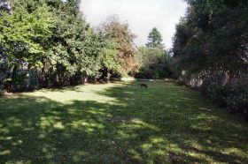 auf der Wiese - czernecki 2011.jpg