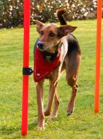 Luna 2012 - Weidlich.jpg