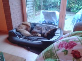 Lündorf 2  - 2012.jpg