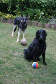 Geurden-Voß 2012 - Jasper + Bayu.JPG